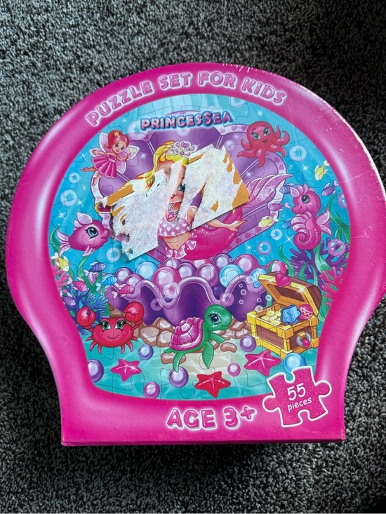 Other - New Princess activity set